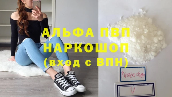 СК Абинск