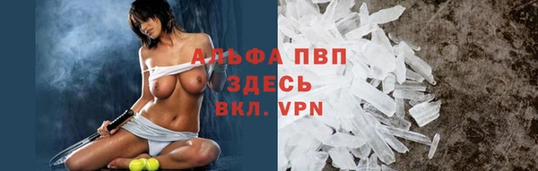 скорость Приозерск