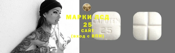 СК Абинск