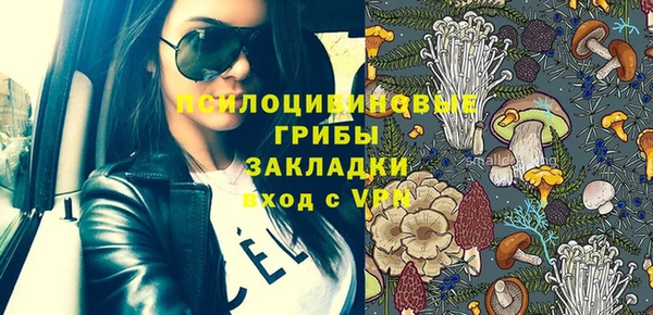 spice Абаза