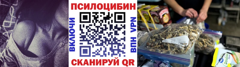 Псилоцибиновые грибы Cubensis  Мосальск 